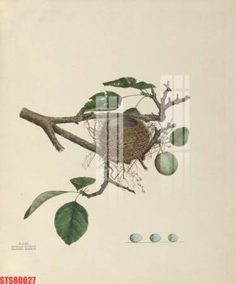 Download file tranh PSD Tranh sơn dầu phương tây tổng hợp STS80027 để chỉnh sửa