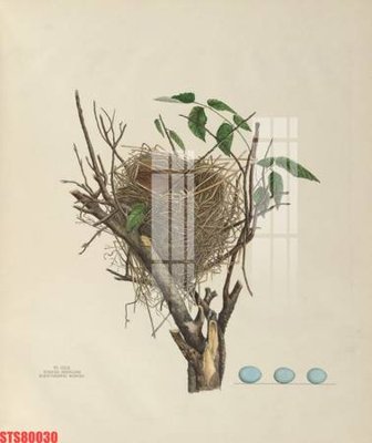 File gốc in ấn Tranh sơn dầu phương tây tổng hợp STS80030 chuẩn màu CMYK