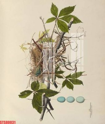 File PSD Tranh sơn dầu phương tây tổng hợp STS80031 (bản gốc) chất lượng nhất