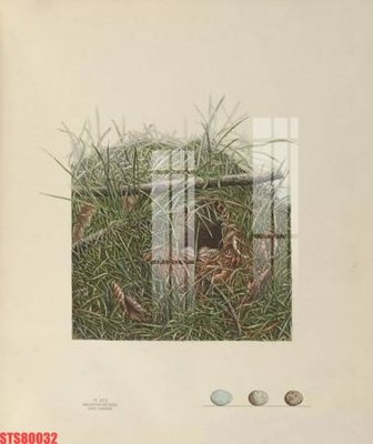 File tranh gốc Tranh sơn dầu phương tây tổng hợp STS80032 (bản quyền) Filetranh.com