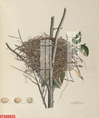 File tranh in trần Tranh sơn dầu phương tây tổng hợp STS80033 (ảnh gốc siêu nét)