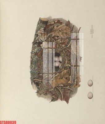 Tải file gốc Tranh sơn dầu phương tây tổng hợp STS80039 (in tráng gương) cao cấpFile gốc Tranh sơn dầu phương tây tổng hợp STS80039 (in ấn) phiên bản độc quyền