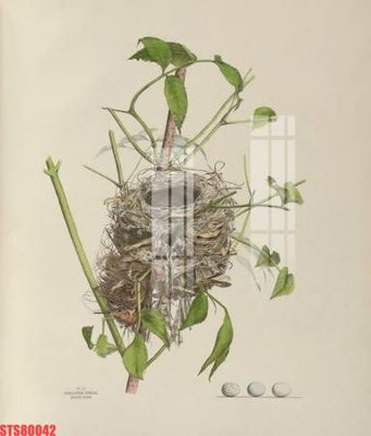 File in lụa Tranh sơn dầu phương tây tổng hợp STS80042 (phong cảnh) Tranh sơn dầu phương tây tổng hợp STS80042