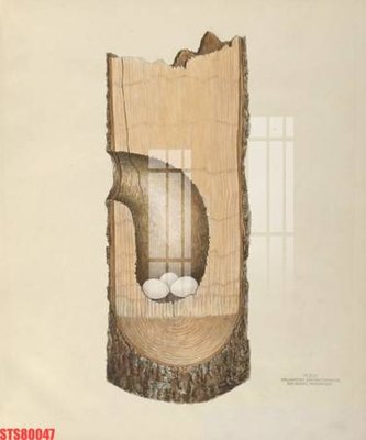 Tải file Tranh sơn dầu phương tây tổng hợp STS80047 (gốc) in ấn chất lượng