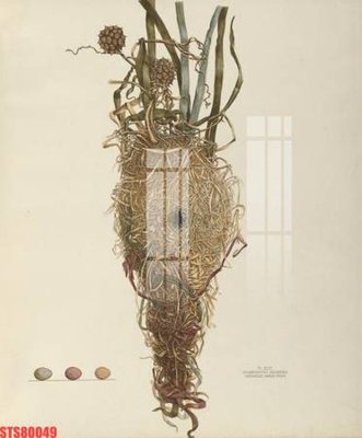 File tranh gốc Tranh sơn dầu phương tây tổng hợp STS80049 (bản quyền) Filetranh.com