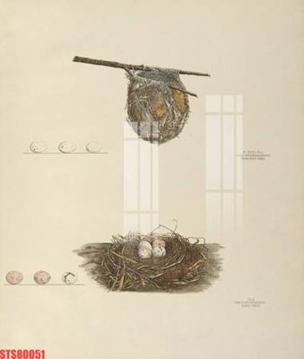 File tranh Tranh sơn dầu phương tây tổng hợp STS80051 (gốc) in film