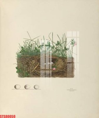 File tranh Tranh sơn dầu phương tây tổng hợp STS80059 (ảnh gốc) chi tiết rõ ràng