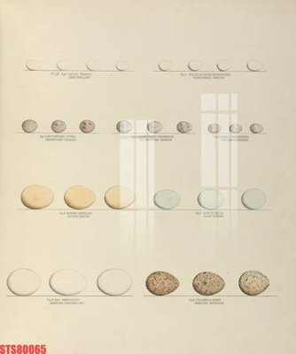 File gốc Tranh sơn dầu phương tây tổng hợp STS80065 (in 3D) cho trang trí