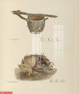 Tải file gốc Tranh sơn dầu phương tây tổng hợp STS80066 (bản PSD) đầy đủ layer
