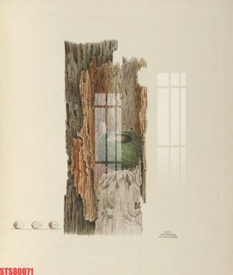 File gốc Tranh sơn dầu phương tây tổng hợp STS80071 (in lụa) tranh phong thủy