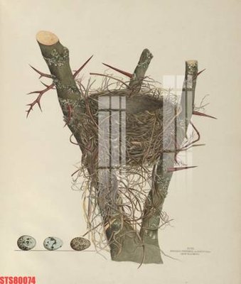 File tranh Tranh sơn dầu phương tây tổng hợp STS80074 (gốc) chủ đề trẻ em