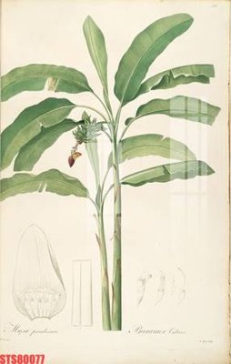 File gốc Tranh sơn dầu phương tây tổng hợp STS80077 (in tráng gương) sang trọng