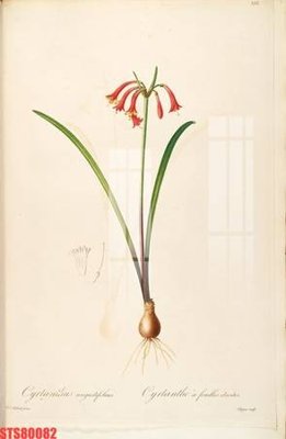 File tranh gốc Tranh sơn dầu phương tây tổng hợp STS80082 (bản đẹp) độc quyền