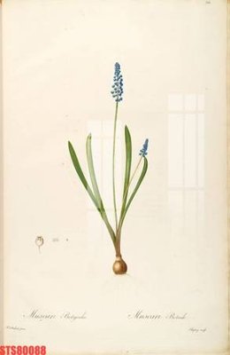 Tải file Tranh sơn dầu phương tây tổng hợp STS80088 (ảnh gốc) độ phân giải 300dpi