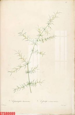 Tải file Tranh sơn dầu phương tây tổng hợp STS80089 (gốc) để in ấn ngay