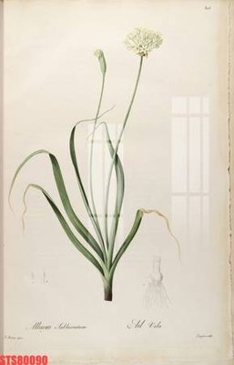 File tranh Tranh sơn dầu phương tây tổng hợp STS80090 (bản gốc) treo phòng ăn