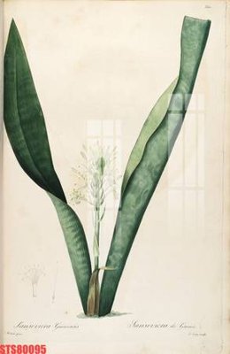 File gốc Tranh sơn dầu phương tây tổng hợp STS80095 (phong cách) châu Âu