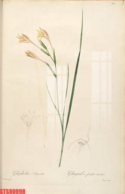 File in ấn cao cấp Tranh sơn dầu phương tây tổng hợp STS80098 (file gốc)