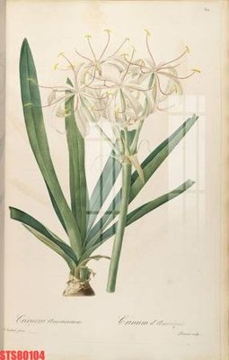 Tải file gốc Tranh sơn dầu phương tây tổng hợp STS80104 (in không vỡ ảnh)