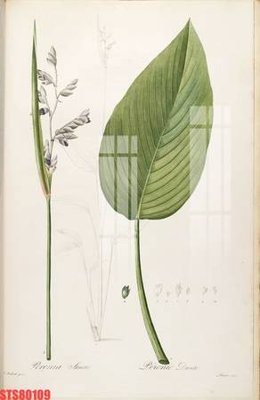 File in mica Tranh sơn dầu phương tây tổng hợp STS80109 (bản gốc) làm vách ngăn