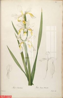 Chi tiết file ảnh Tranh sơn dầu phương tây tổng hợp STS80112 sắc nét