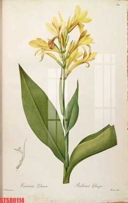 File PSD Tranh sơn dầu phương tây tổng hợp STS80114 (gốc) nhiều lớp (multi-layer)