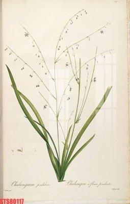 Download file Tranh sơn dầu phương tây tổng hợp STS80117 (gốc) in mica đèn LED