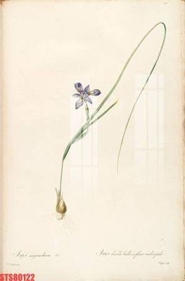 File gốc Tranh sơn dầu phương tây tổng hợp STS80122 (AI/EPS) cho in ấn