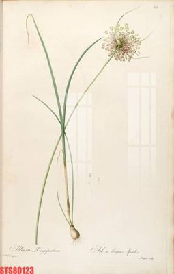 File gốc Tranh sơn dầu phương tây tổng hợp STS80123 (cho in UV) siêu nét