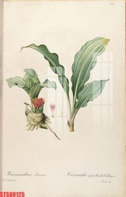 File tranh trang trí Tranh sơn dầu phương tây tổng hợp STS80125 (file gốc)