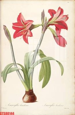 File PSD Tranh sơn dầu phương tây tổng hợp STS80144 (gốc) tách lớp chi tiết