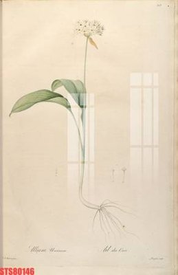 Ảnh mô tả file gốc in mica Tranh sơn dầu phương tây tổng hợp STS80146