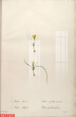 File tranh Tranh sơn dầu phương tây tổng hợp STS80158 (ảnh gốc) độc quyền