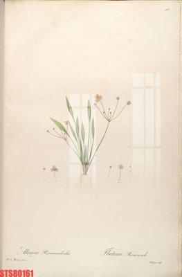 File gốc Tranh sơn dầu phương tây tổng hợp STS80161 (in 3D) nghệ thuật