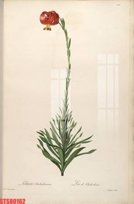 File in trần Tranh sơn dầu phương tây tổng hợp STS80162 (bản gốc) trời sao