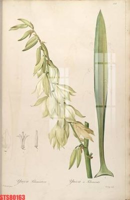 Download file gốc Tranh sơn dầu phương tây tổng hợp STS80163 (in mica) 3D