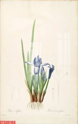 File in trần Tranh sơn dầu phương tây tổng hợp STS80166 (bản gốc) phong cảnh