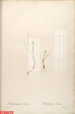 File ảnh gốc Tranh sơn dầu phương tây tổng hợp STS80172 (chuyên in mica)