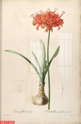 File in trần Tranh sơn dầu phương tây tổng hợp STS80174 (file gốc) phong thủy