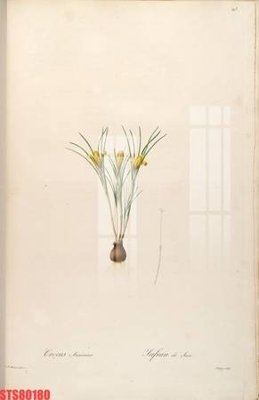 File gốc Tranh sơn dầu phương tây tổng hợp STS80180 (in ấn) không giới hạn