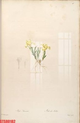 File gốc Tranh sơn dầu phương tây tổng hợp STS80182 (in mica) cắt laser