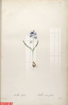 Tải file tranh gốc Tranh sơn dầu phương tây tổng hợp STS80187 chất lượng cao