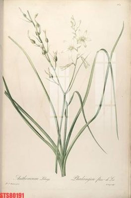 File tranh gốc Tranh sơn dầu phương tây tổng hợp STS80191 (bản quyền) Filetranh.com