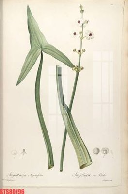 File gốc Tranh sơn dầu phương tây tổng hợp STS80196 (chuẩn CMYK) cho nhà in