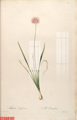 Tải file Tranh sơn dầu phương tây tổng hợp STS80197 (gốc) in ấn ngay lập tức