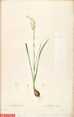 File gốc Tranh sơn dầu phương tây tổng hợp STS80200 (cho in ấn) từ Filetranh.com