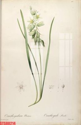 File gốc Tranh sơn dầu phương tây tổng hợp STS80214 (in ấn) không giới hạn