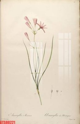 File tranh Tranh sơn dầu phương tây tổng hợp STS80221 (gốc) phong cách tối giản