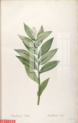 File in ấn Tranh sơn dầu phương tây tổng hợp STS80224 (bản gốc) từ file gốc