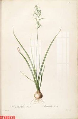 Tải file gốc Tranh sơn dầu phương tây tổng hợp STS80229 dùng cho in ấn